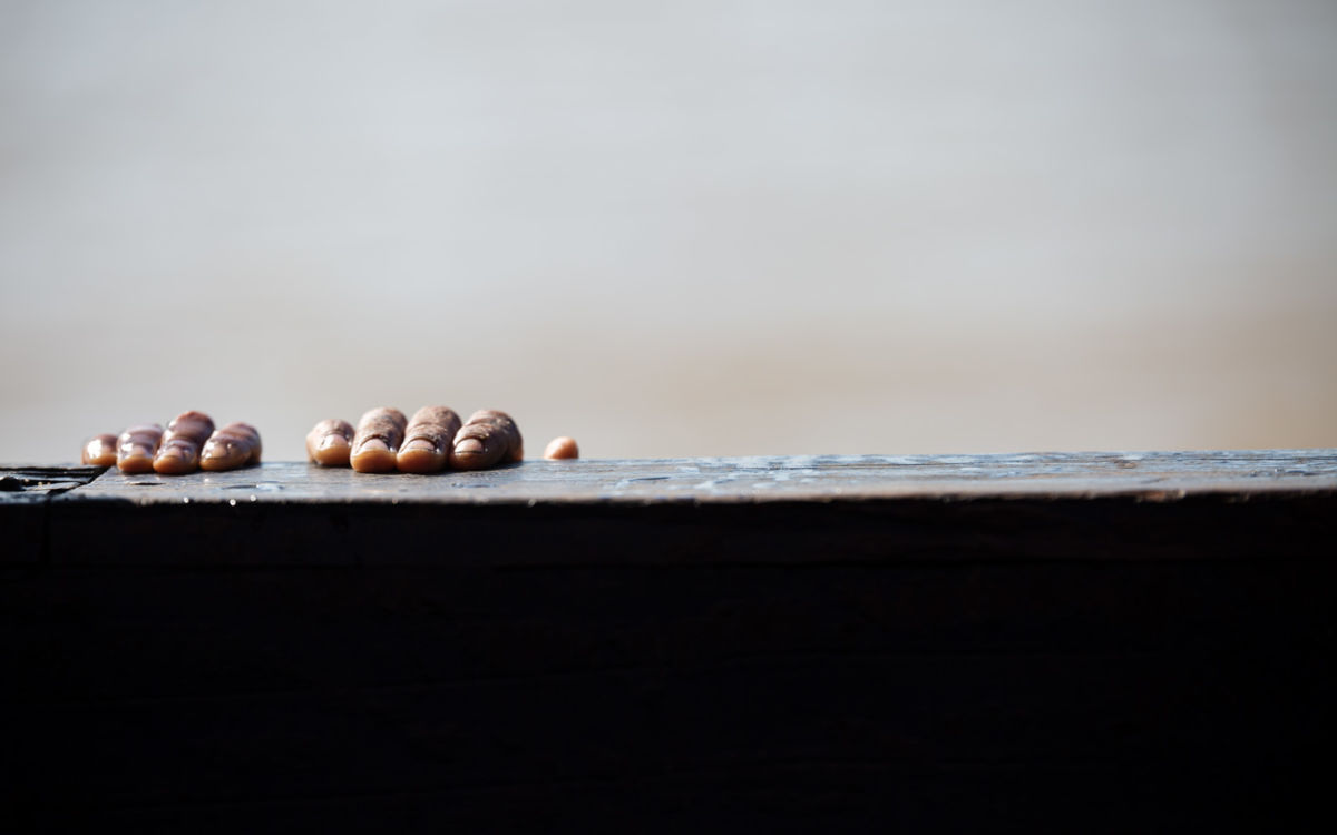 Ensemble pour les enfants de Madagascar