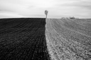 L&rsquo;arbre suit sa racine #01