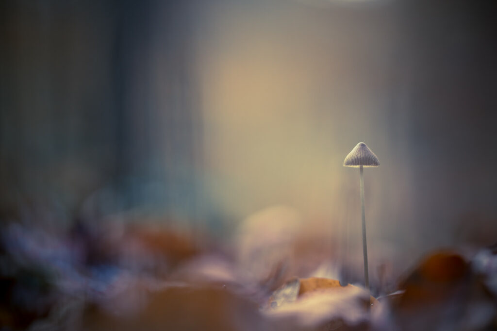 Bénédiction divine