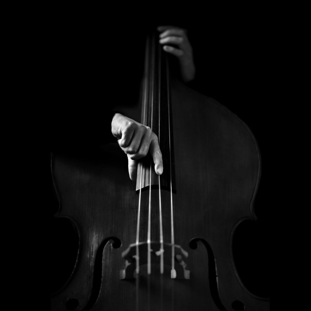 Contrebasse
