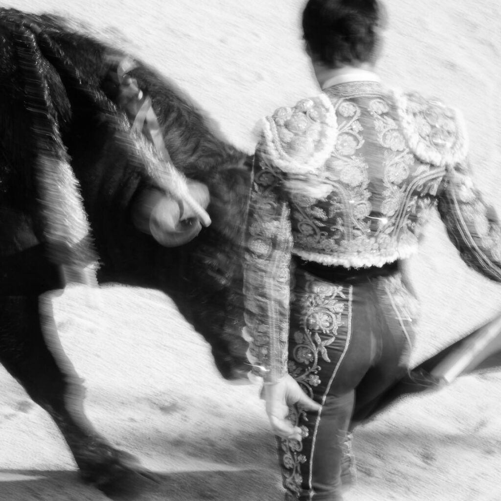 Corrida blanche face à face