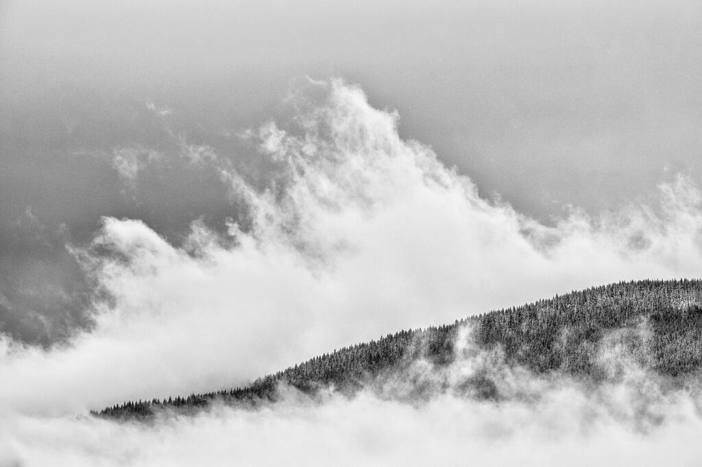 Immersion dans les Vosges #03