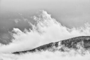 Immersion dans les Vosges #03