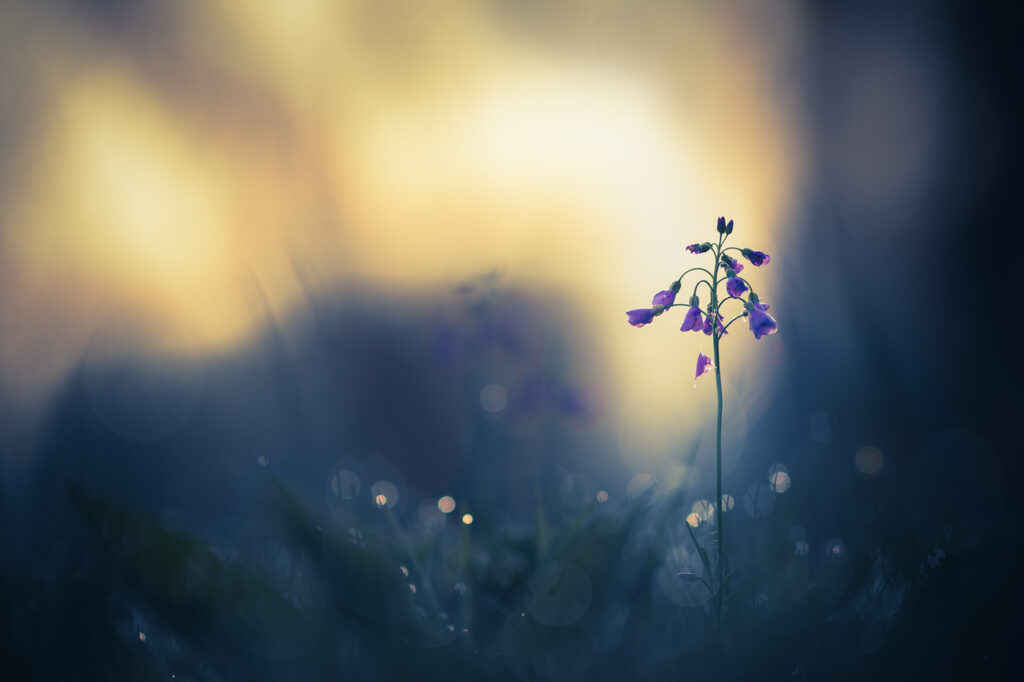 L’exil d’un flou sentimental