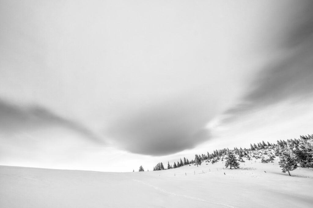 Immersion dans les Vosges #06