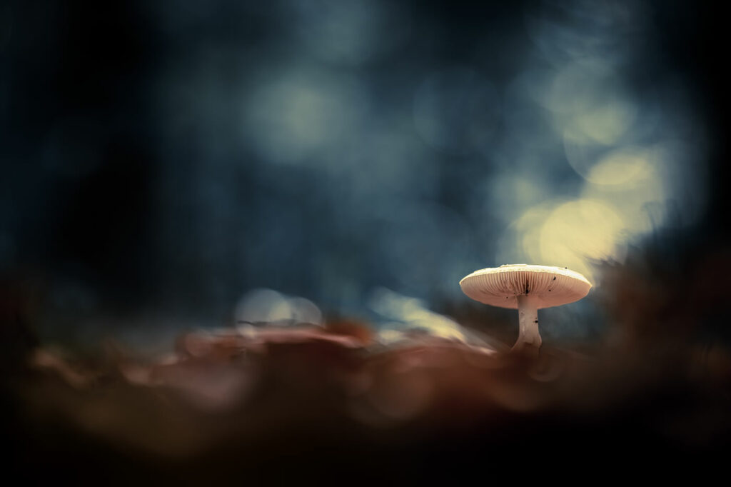 Le gardien du monde interdit