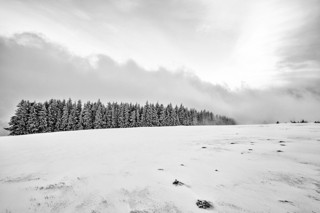 Immersion dans les Vosges #08