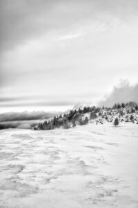 Immersion dans les Vosges #09