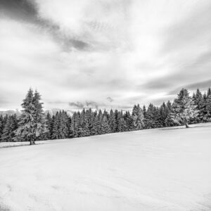 Immersion dans les Vosges #10