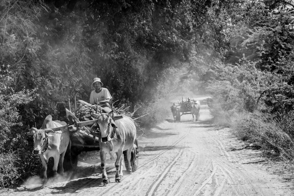 Rencontre birmane #04