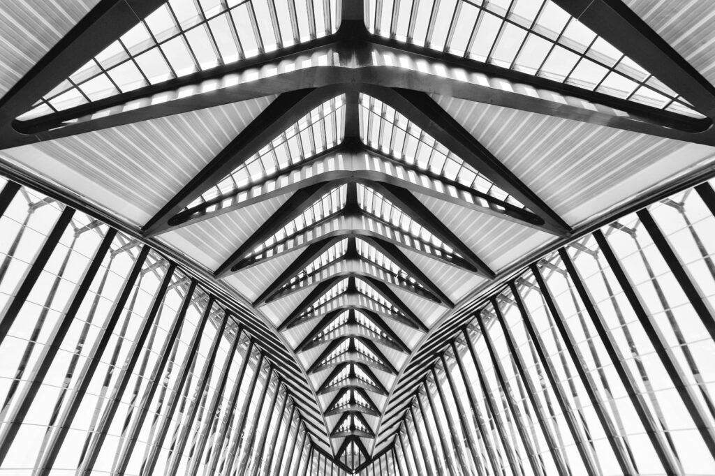 Le diner de l’araignée