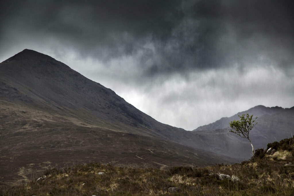 Lumière d’Écosse #11