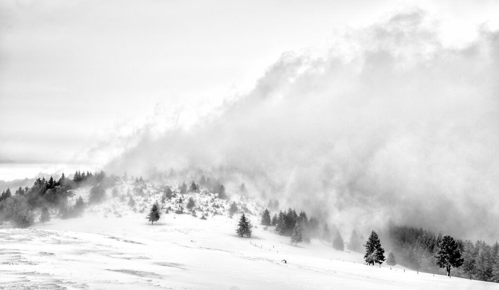 Immersion dans les Vosges #12