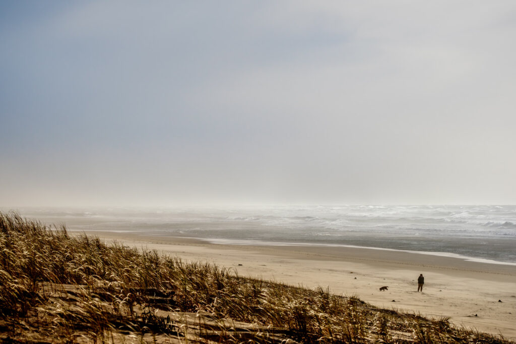 Promenade avec son chien