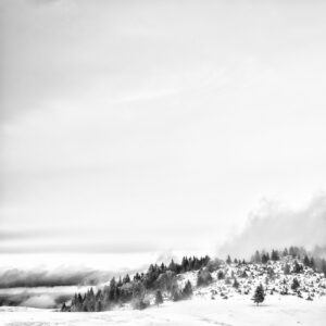 Immersion dans les Vosges #13