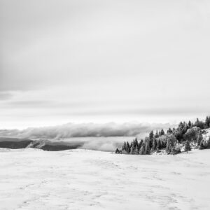 Immersion dans les Vosges #14