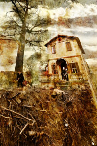 Mes racines demeurent