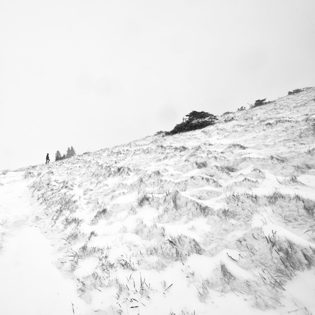 Immersion dans les Vosges #16