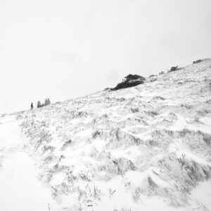 Immersion dans les Vosges #16