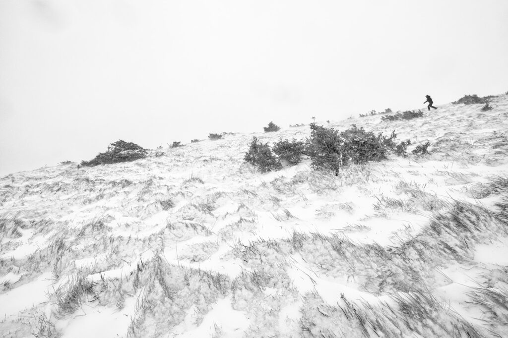 Immersion dans les Vosges #17