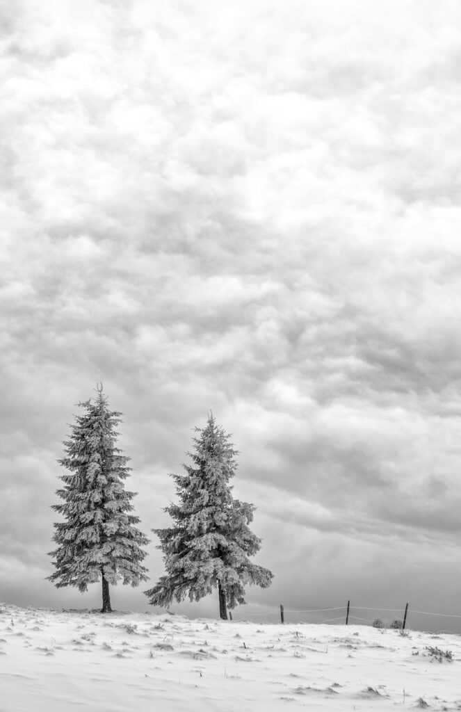 Immersion dans les Vosges #18