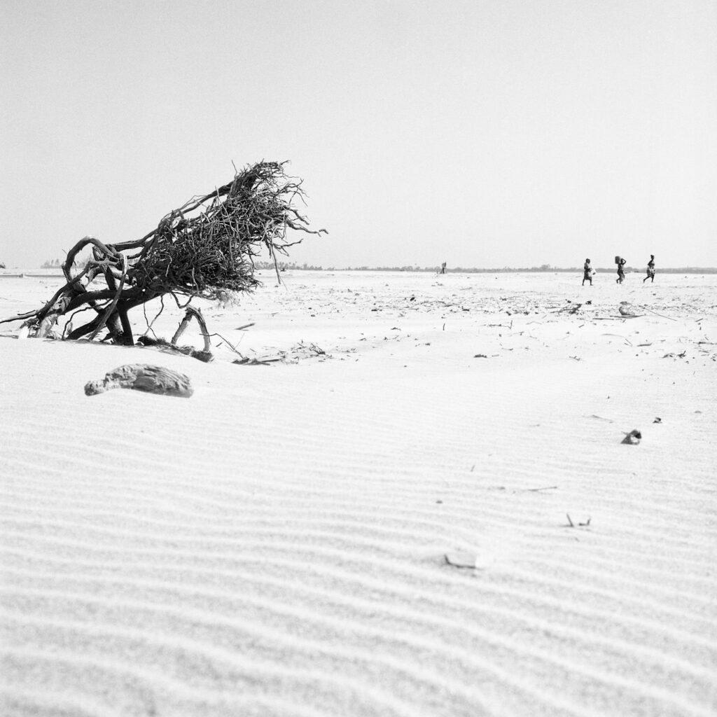 Empreintes de l’Île Rouge #06