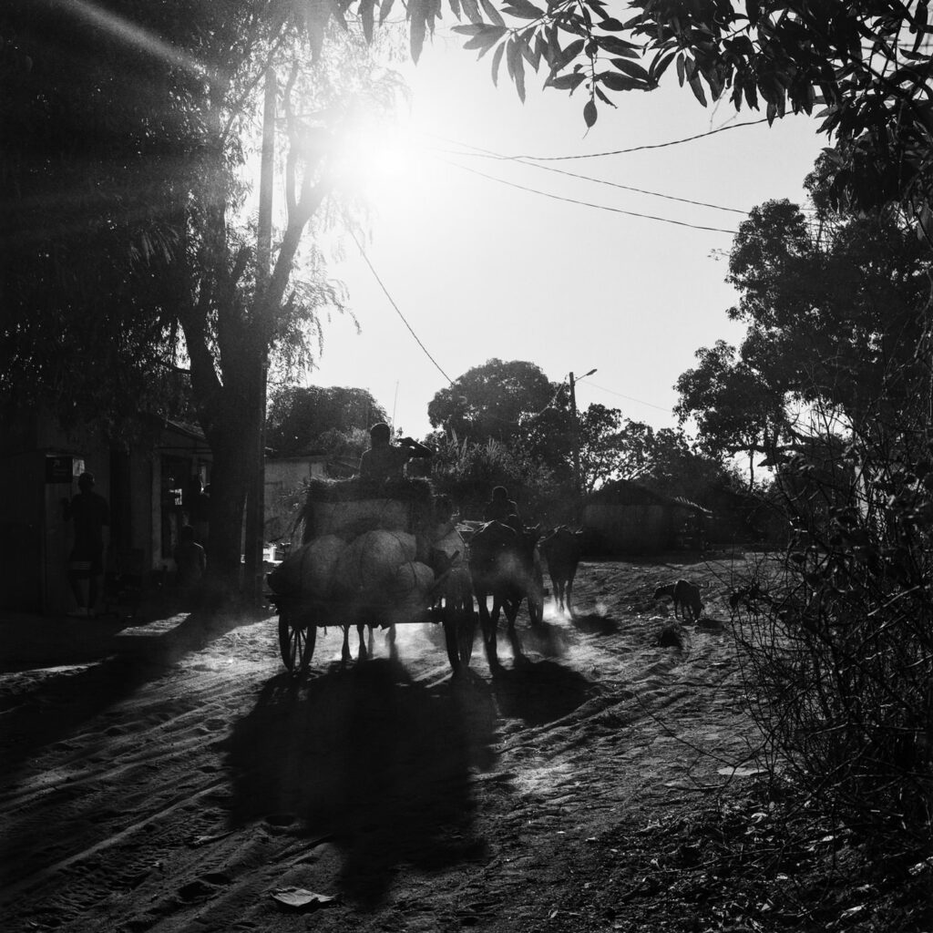 Empreintes de l’Île Rouge #15