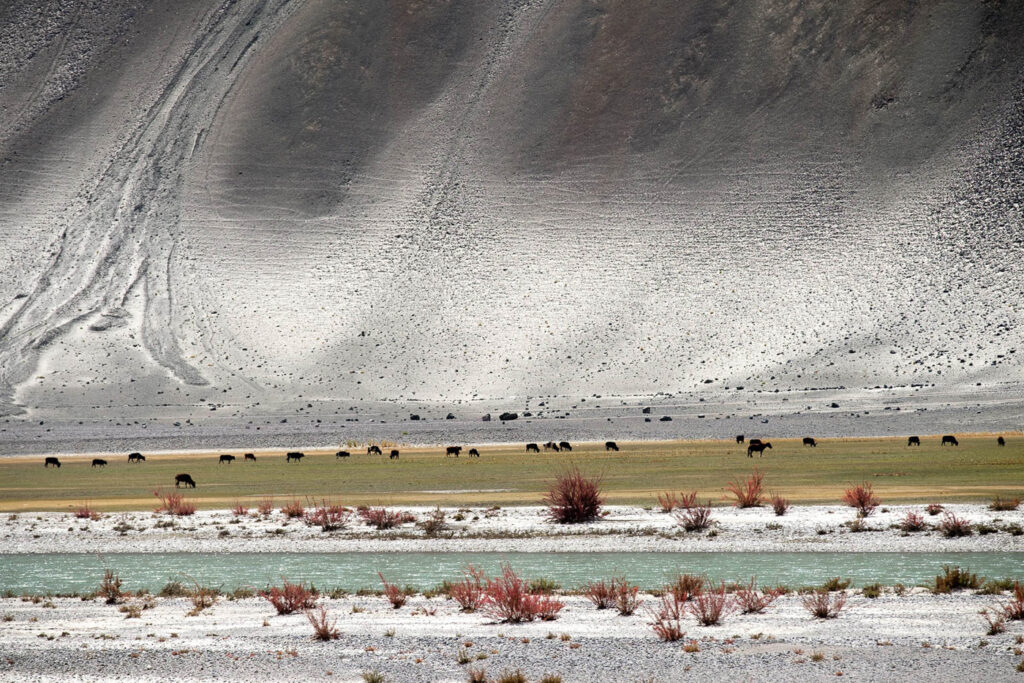 Un regard sur le Zanskar #01
