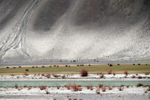 Un regard sur le Zanskar #01
