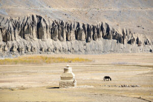Un regard sur le Zanskar #24