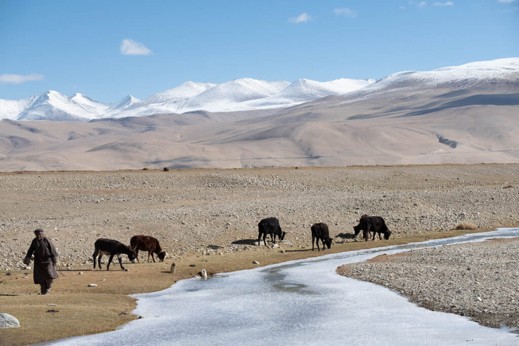 Un regard sur le Zanskar #03
