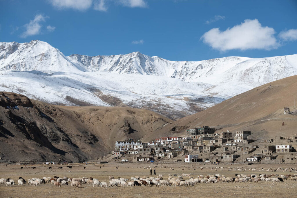 Un regard sur le Zanskar #04