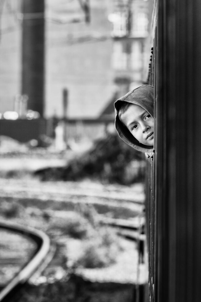 Le petit oiseau va sortir