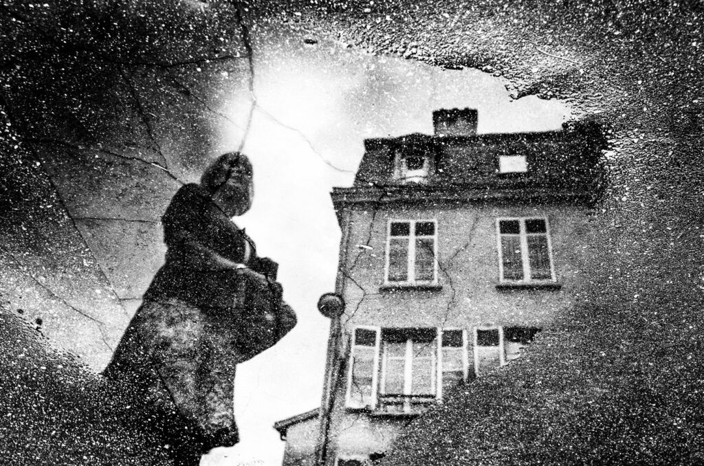 La maison au bord de la flaque